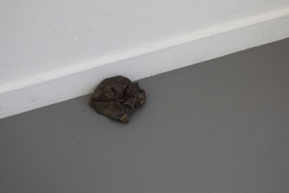 Jacob Alrø_echo_detail_14_web